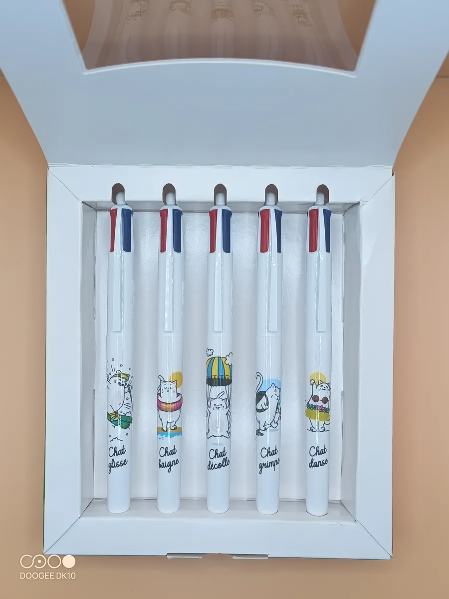 Les Chats Mignons en Vacances